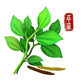 中药
