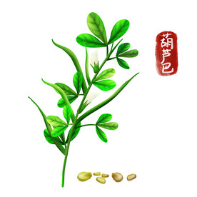 中药