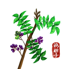 中药