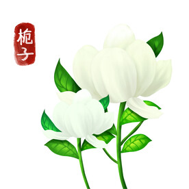中药