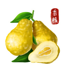 中药
