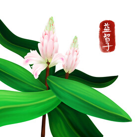 中药