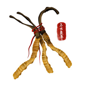中药