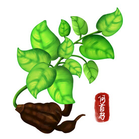 中药