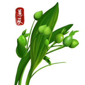 中药