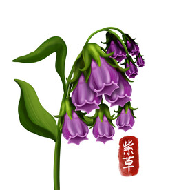 中药