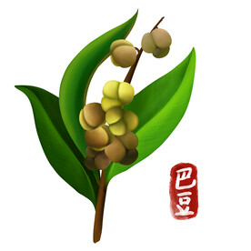 中药