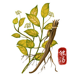 中药