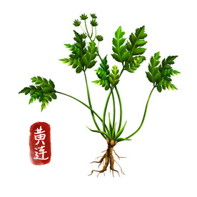 中药