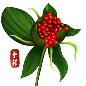 中药