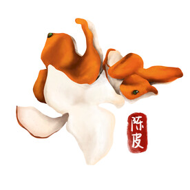 中药