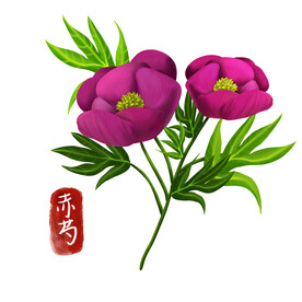 中药