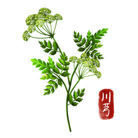 中药