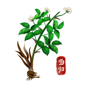中药