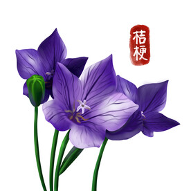 中药
