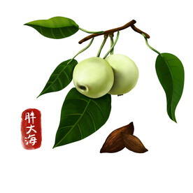 中药
