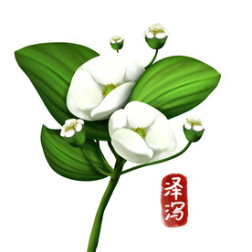 中药
