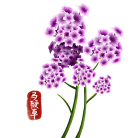 植物