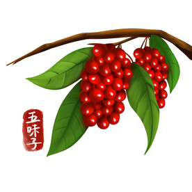 中药
