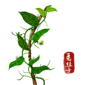 中药