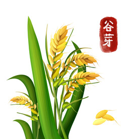中药