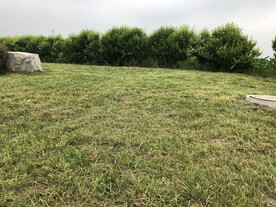 草地