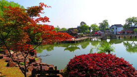 苏州灵岩山