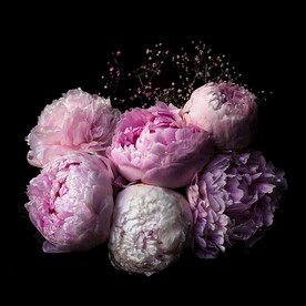 粉色的花