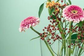 花朵特写