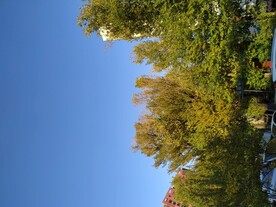 秋天风景