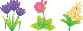 卡通花