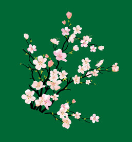 矢量梅花