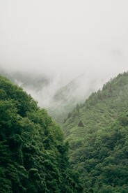 山林