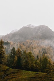 山