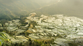 红河水稻梯田 