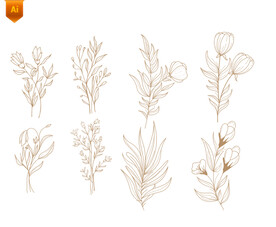 线描手绘植物矢量素材