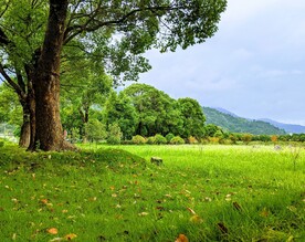 风景