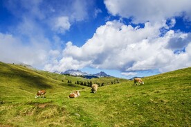 草原风光