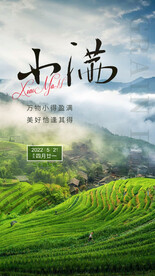 小满节气海报