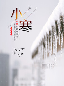 小寒简约海报