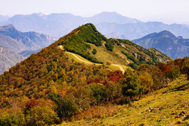 山顶小路之秋