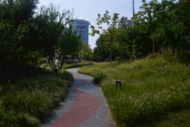 公园风景  