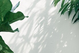 墙面背景