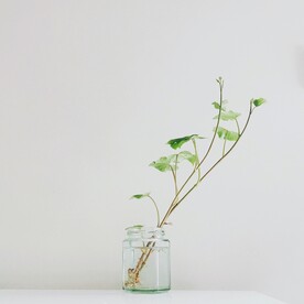 花瓶