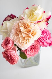 鲜花