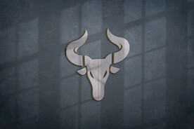 logo样机
