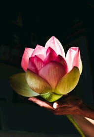 手托荷花