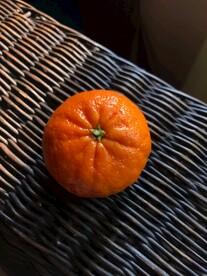 橘子