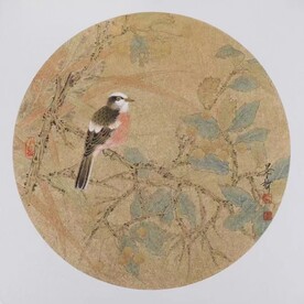 小鸟