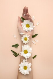 创意鲜花摄